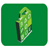 zdorovie.gif (2271 bytes)